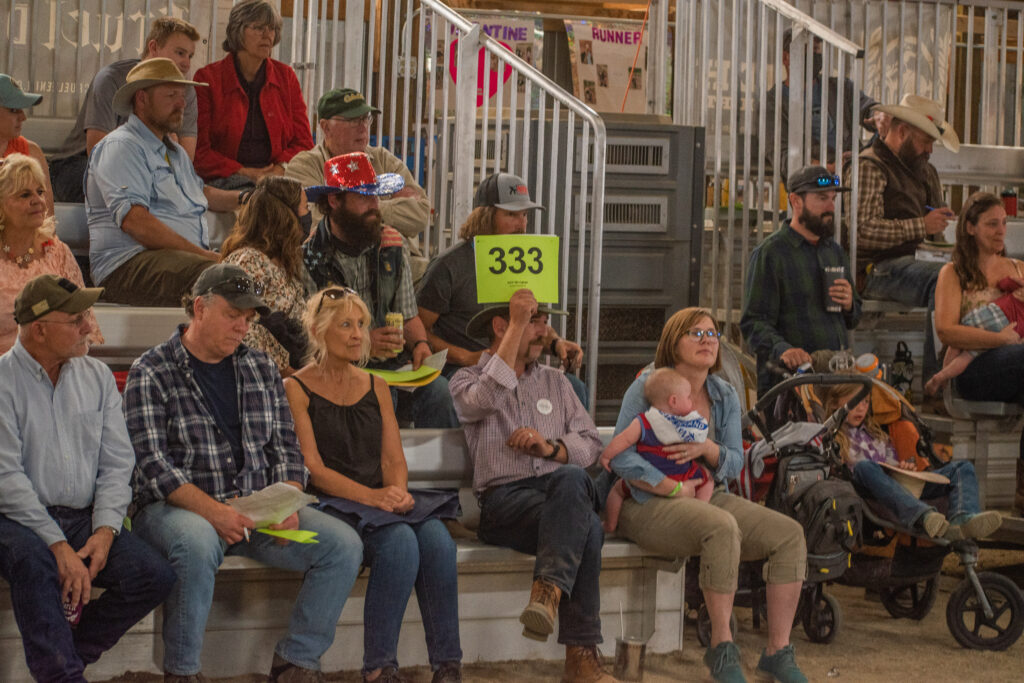 Bidders at the Junior Livestock Auction at the Park County Fair