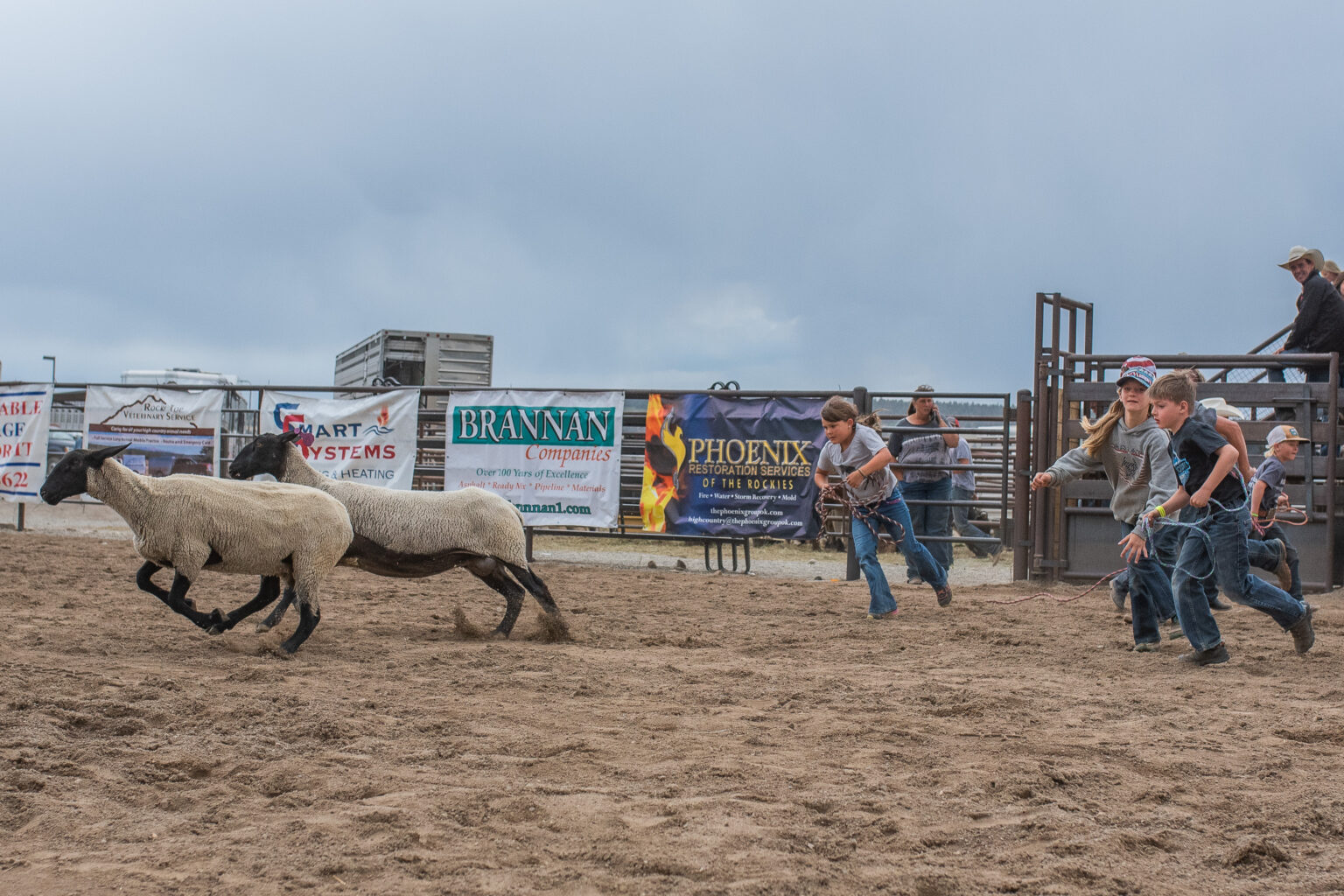 Catch an Animal Park County Fair