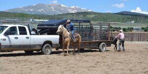 A participant in the Ranch Rodeo at the Park county Fair