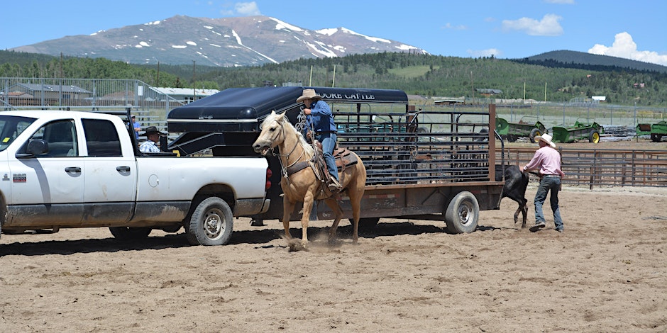 A participant in the Ranch Rodeo at the Park county Fair