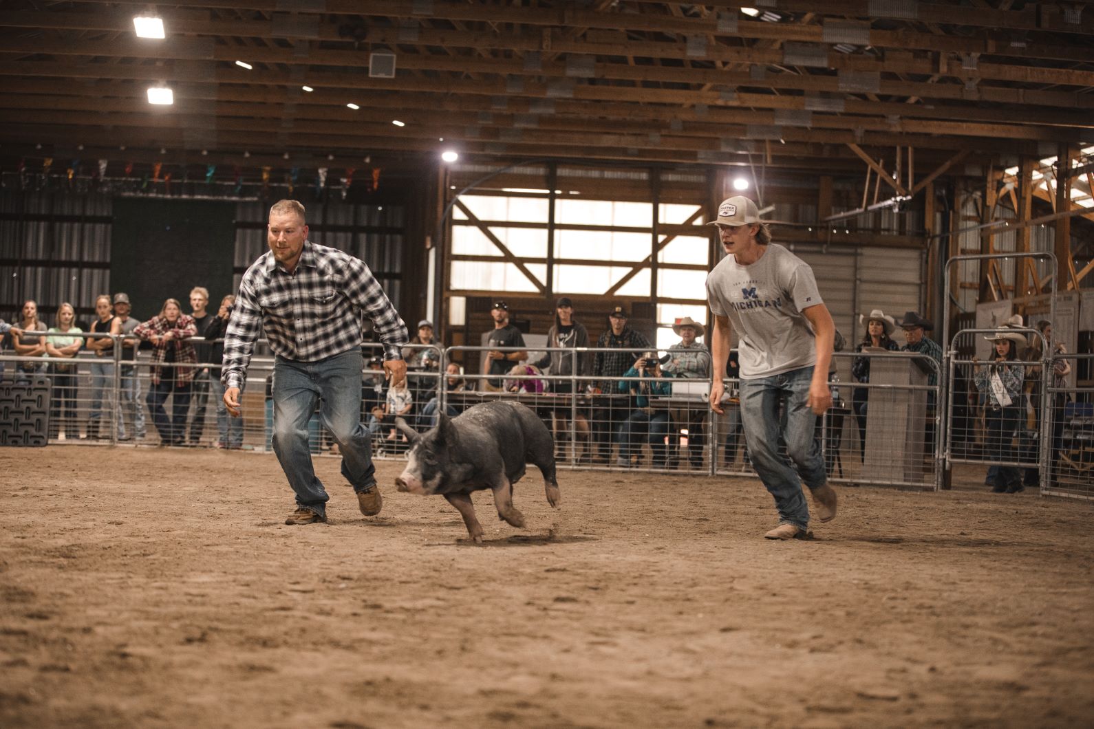Men participating in the Pig penning contest