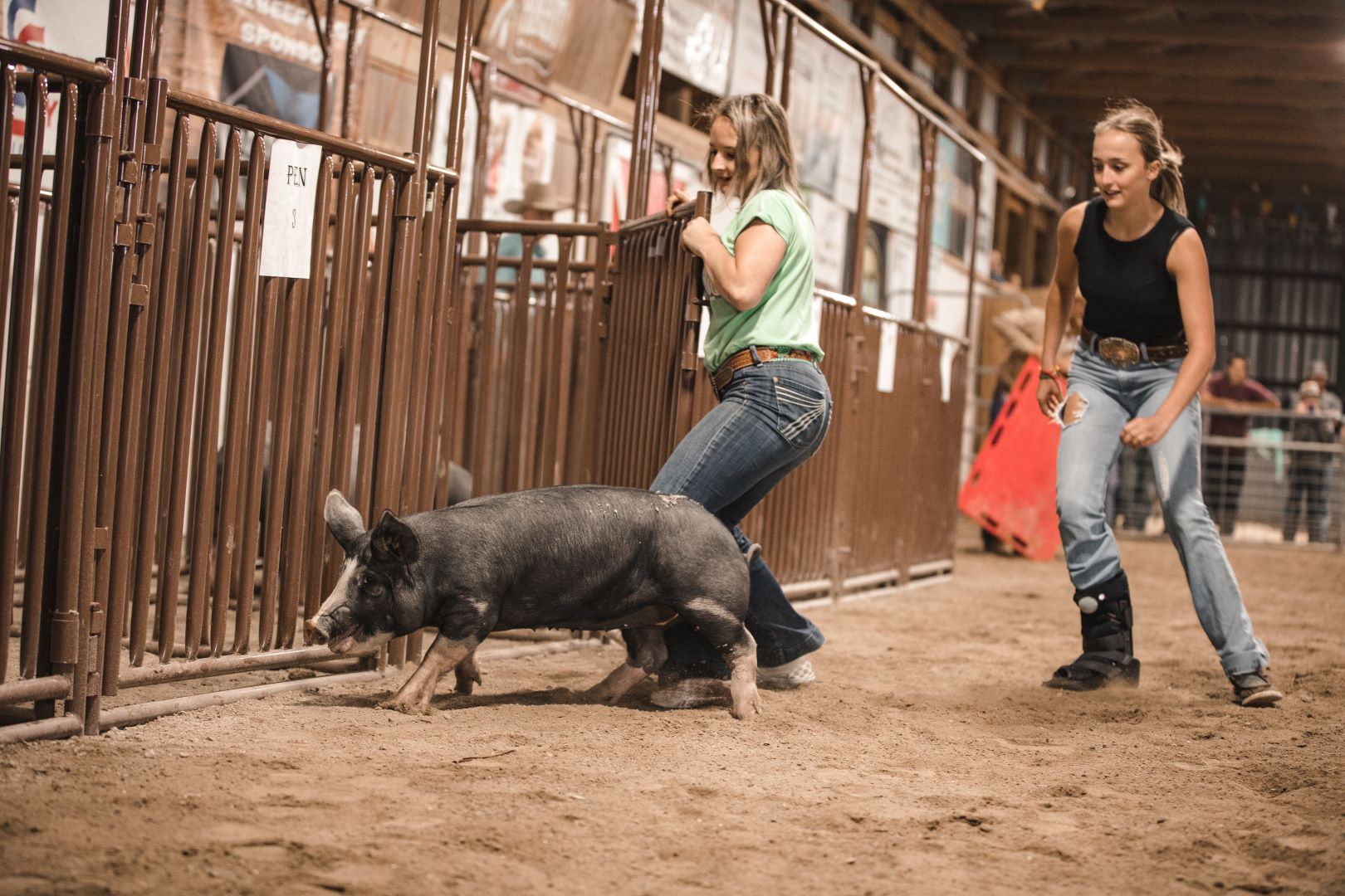 Some girls participating in the Pig Penning contest