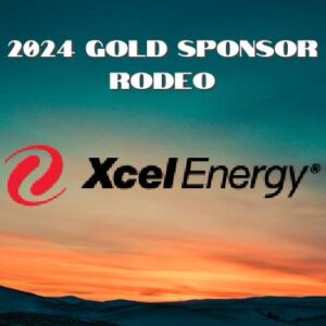 Xcel Energy