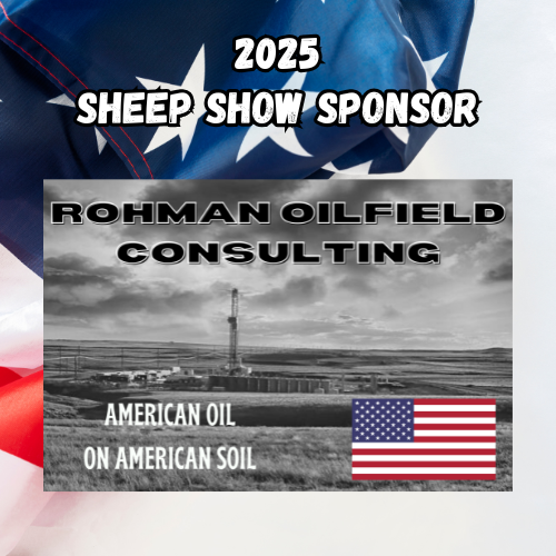 Rohman Consulting 2025 sponsor