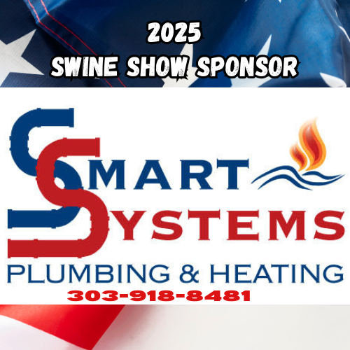 Smart Systems 2025 sponsor