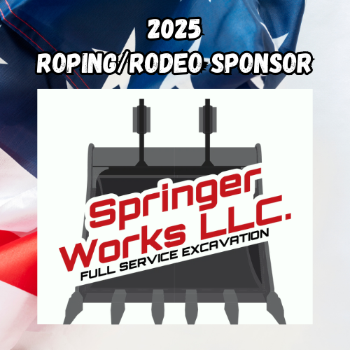 Springer Works 2025 sponsor