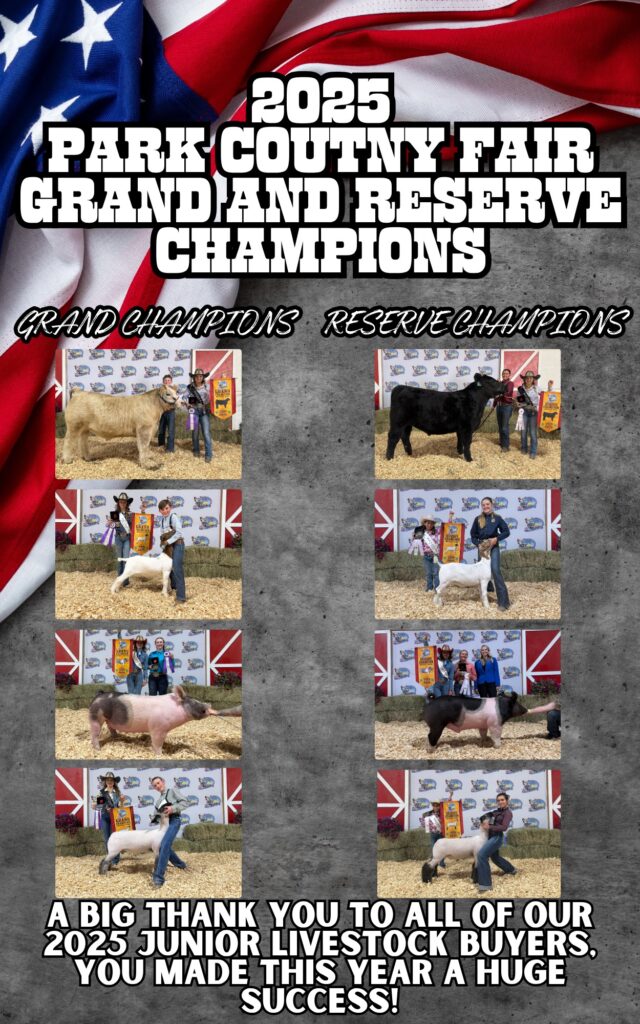 2025 Grand and Reserve Grand Champions